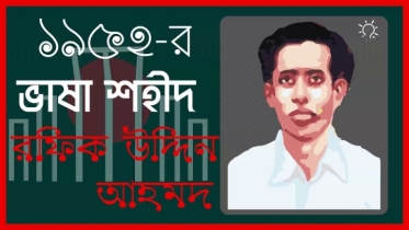 রফিকউদ্দিন আহমদ