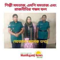 শিল্পী মমতাজ, এমপি মমতাজ এবং রাজনীতির গন্ধম ফল
