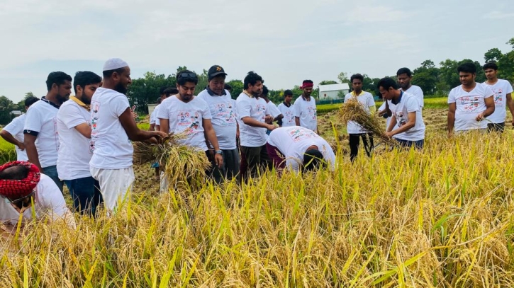 প্রধানমন্ত্রী শেখ হাসিনার নির্দেশে কৃষকের পাশে মানিকগঞ্জ যুবলীগ