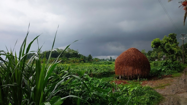 বৃষ্টিভেজা দিন