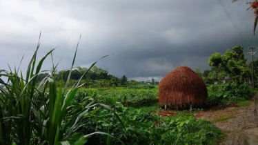 বৃষ্টিভেজা দিন